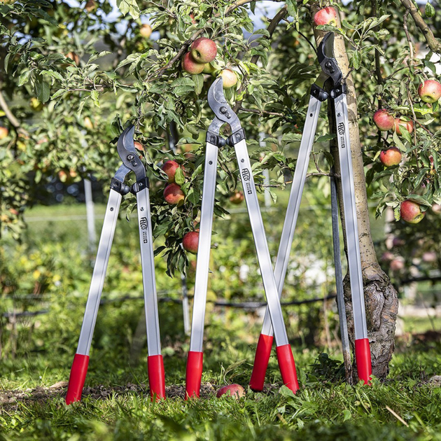 Сучкорез FELCO 221-80 (Felco221-80) - Фото 3 Сучкорез FELCO 221-80 (Felco221-80) - изображение 3