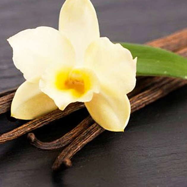 Świeca zapachowa Cereria Molla Bois de Santal Imperial 230 g (8424405066508) - obraz 8