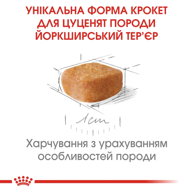 Повнораціонний сухий корм Royal Canin Yorkshire Terrier Puppy для цуценят породи йоркширський тер'єр віком від 2 до 10 місяців, 1.5 кг, 39720151 - Фото 2 Повнораціонний сухий корм Royal Canin Yorkshire Terrier Puppy для цуценят породи йоркширський тер'єр віком від 2 до 10 місяців, 1.5 кг, 39720151 - зображення 2