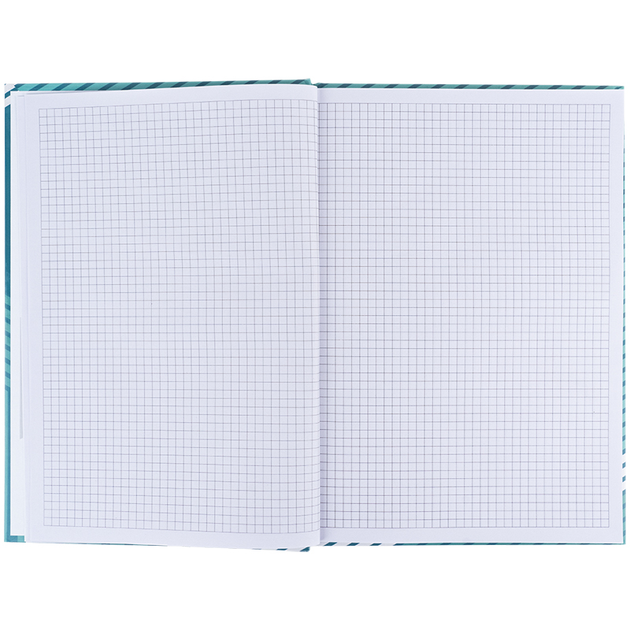 Книга записна Axent Lines А4, 96 аркушів, клітинка, зелена 8422-582-A 4063276250667 - зображення 3