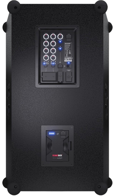 Głośnik przenośny Sharp SumoBox Pro CP-LS200 (4974019216546) - obraz 6