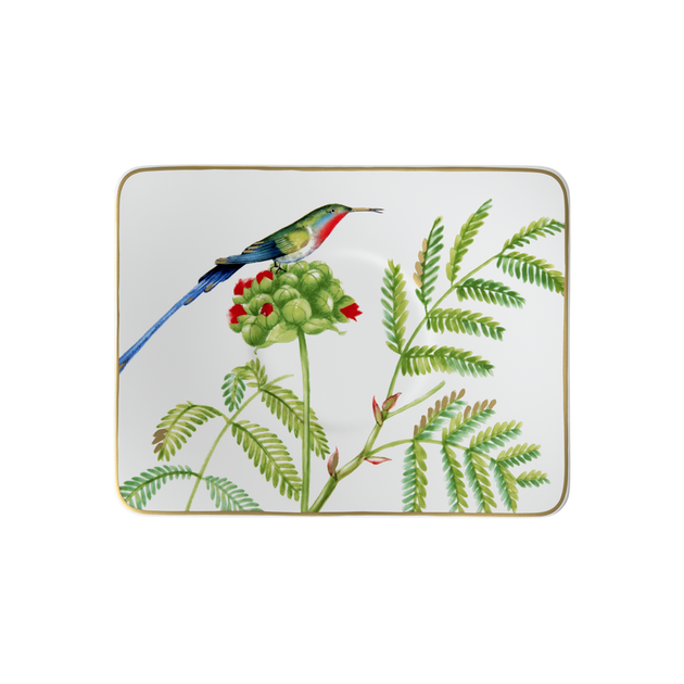 Блюдце Villeroy & Boch Amazonia 17 см (1035141310) - Фото 1 Блюдце Villeroy & Boch Amazonia 17 см (1035141310) - зображення 1