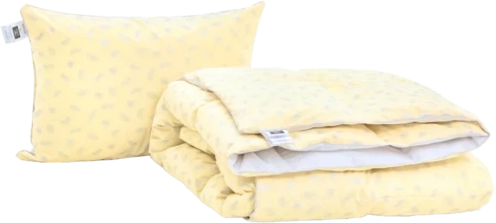 Набор MirSon №9519 Bio-Beige Одеяло всесезонное Полуторное 140х205 Био-пух + Подушка 50х70 (2200010804911) - Фото 1 Набор MirSon №9519 Bio-Beige Одеяло всесезонное Полуторное 140х205 Био-пух + Подушка 50х70 (2200010804911) - изображение 1