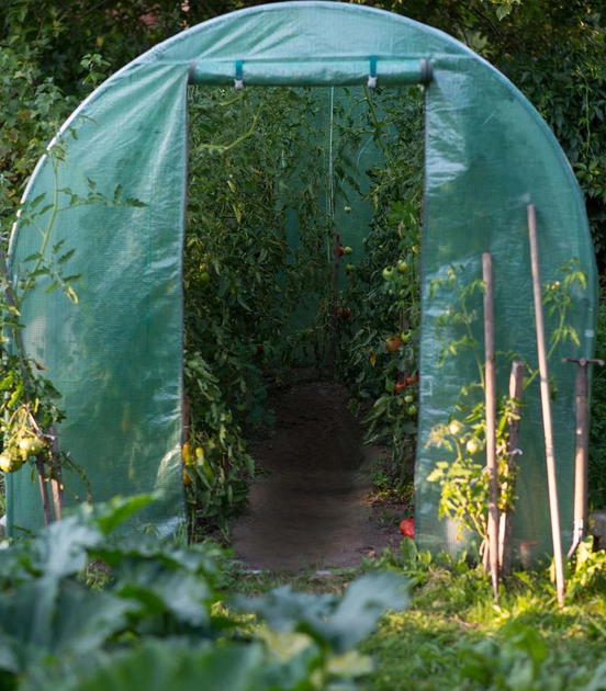 Tunel ogrodowy Plonos 2.5 x 4 m (4916-B) - obraz 9