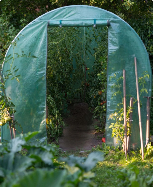 Tunel ogrodowy Plonos 2 x 4.5 m (4915-B) - obraz 10