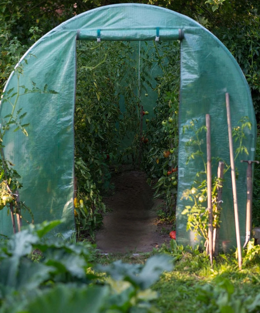 Tunel ogrodowy Plonos 3 x 4.5 m (4917-B) - obraz 9