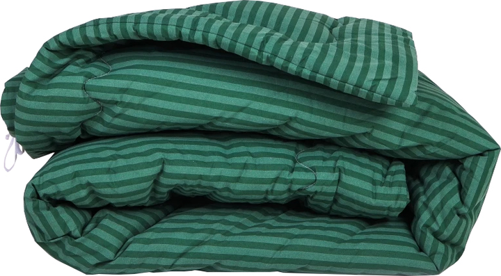Набір MirSon №138 Сolor Fun Line 17-0612 Stripe Emerald Ковдра Зимова Полуторна 155х215 Евкаліпт + Дві наволочки 50х70 від Rozetka на платформі USKIDKA Акція на Набір MirSon №138 Сolor Fun Line 17-0612 Stripe Emerald Ковдра Зимова Полуторна 155х215 Евкаліпт + Дві наволочки 50х70 від Rozetka