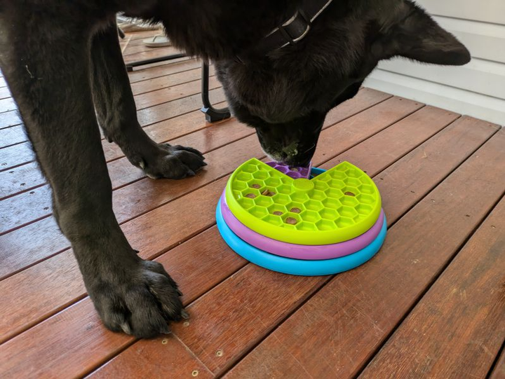 Миска для собак Outward Hound Lickin Layer (0700603706469) - зображення 6