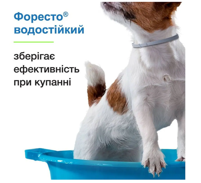 Ошейник Elanco (Bayer) Foresto от блох и клещей, для собак больших пород, 70 см - изображение 4