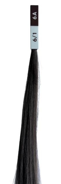 LA BIOSTHETIQUE Coloring and Perming Hair Tint & Tone Advanced 6/1 - Стійка фарба для волосся - 6/1 - зображення 2