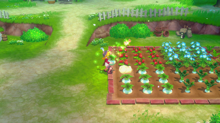 Gra Nintendo Switch Story of Seasons Grand Bazaar (Kartridż) (5060540772824) - obraz 9