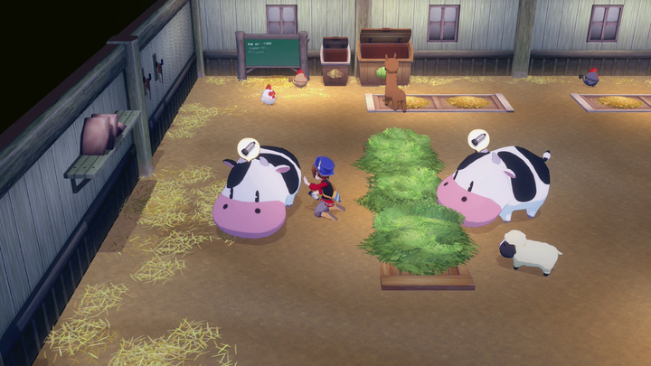 Gra Nintendo Switch Story of Seasons Grand Bazaar Limited Edition (Kartridż) (5060540772886) - obraz 4
