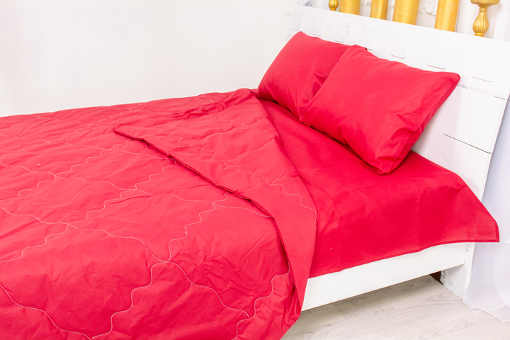 Акція на Літній постільний комплект MirSon №2413 Eco-Soft 19-1655 Edmonda ковдра 220х240 см + наволочки 2 х 50х70 см + простирадло 220x240 см від Rozetka
