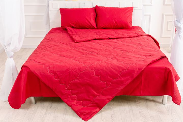 Літній постільний комплект MirSon №2509 EcoSilk 19-1655 Edmonda Ковдра + 2 подушки 50x70 + 2 наволочки + простирадло від Rozetka на платформі USKIDKA Акція на Літній постільний комплект MirSon №2509 EcoSilk 19-1655 Edmonda Ковдра + 2 подушки 50x70 + 2 наволочки + простирадло від Rozetka