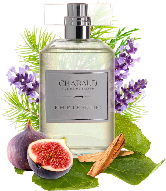 Парфумована вода унісекс Chabaud Maison de Parfum Fleur de Figuier 100 мл (3770003318736) - зображення 3