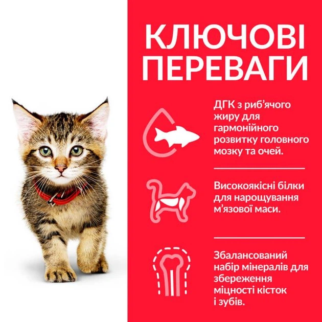 Сухой корм для котят Hill's Science Plan Kitten с тунцом 1.5 кг - Фото 2 Сухой корм для котят Hill's Science Plan Kitten с тунцом 1.5 кг - изображение 2