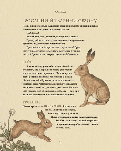 Колесо року. Ілюстрований путівник ритмами природи - Фіона Кук, Джессіка Ру (978-617-8425-23-4) - Фото 7 Колесо року. Ілюстрований путівник ритмами природи - Фіона Кук, Джессіка Ру (978-617-8425-23-4) - зображення 7