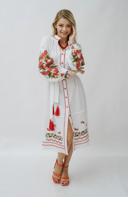 Жіноча вишита сукня Galychanka Килина XL Білий (GALKYLBIL) - Фото 2 Жіноча вишита сукня Galychanka Килина XL Білий (GALKYLBIL) - изображение 2
