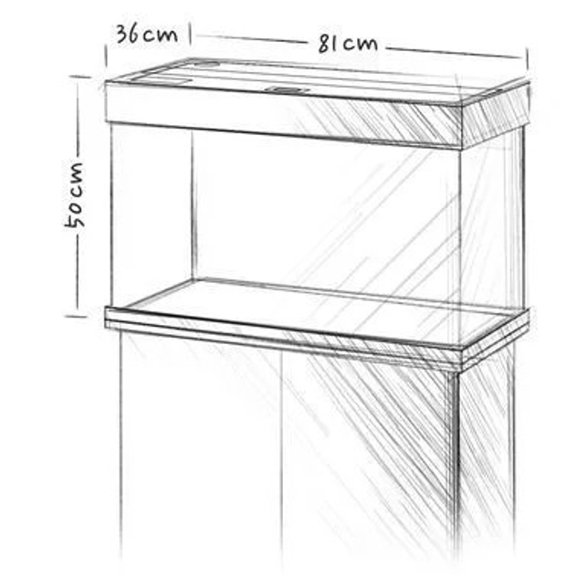 Zestaw akwariowy Juwel Rio 125 LED Dark Wood (4022573017502) - obraz 4