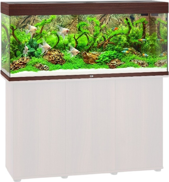 Zestaw akwariowy Juwel Rio 240 LED Brązowy (4022573037500) - obraz 3