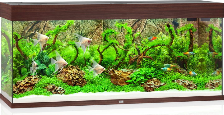 Zestaw akwariowy Juwel Rio 240 LED Brązowy (4022573037500) - obraz 4