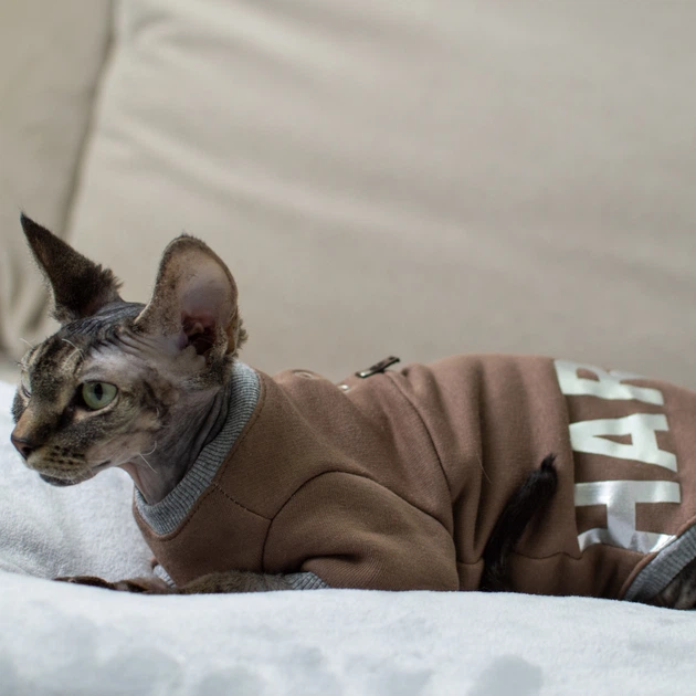 Кофта для кота или кошки Style Pets HARVARD (0019hr)XL - Фото 2 Кофта для кота или кошки Style Pets HARVARD (0019hr)XL - изображение 2