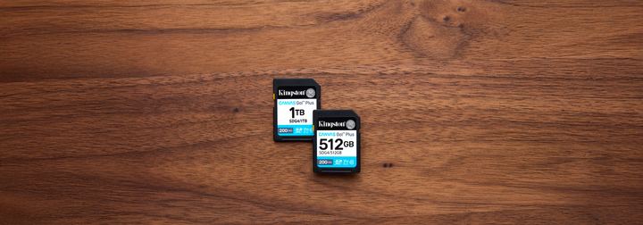 Karta pamięci Kingston SDXC 256GB Canvas Go! Plus G4 Class 10 UHS-I U3 V30 (SDG4/256GB) - obraz 6