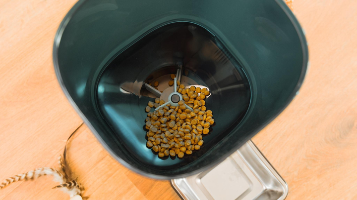 Автоматичний дозатор корму для тварин Cecotec Pumba 6000 Purrfect Meal Smart 6 L (8435484095655) - зображення 6
