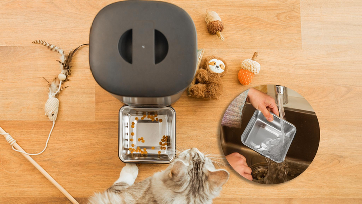 Автоматичний дозатор корму для тварин Cecotec Pumba 6000 Purrfect Meal Smart 6 L (8435484095655) - зображення 8