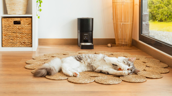 Автоматичний дозатор корму для тварин Cecotec Pumba 6000 Purrfect Meal Smart 6 L (8435484095655) - зображення 11