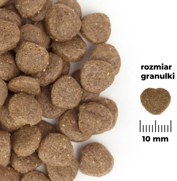 Sucha karma dla psów Comfy Appetit Vita Superfood Adult Mini Lamb 8 kg (5905546342162) - obraz 9