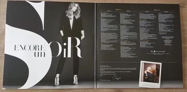 Виниловая пластинка Celine Dion: Encore Un Soir 2LP (LP9418) - изображение 4