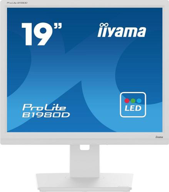 Монітор 19' Iiyama ProLite B1980D-W5, White, TN, 1280x1024 (5:4), 5 мс, 60 Гц, 250 кд/м², 1000:1, 170°/160°, VGA/DVI, VESA 100x100 мм - изображение 1