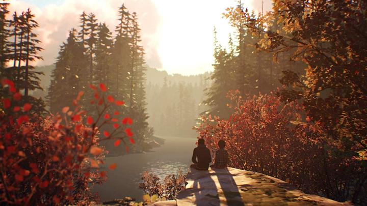 Гра PS4 Life Is Strange 2 (Blu-ray диск) (5021290086074) - зображення 3