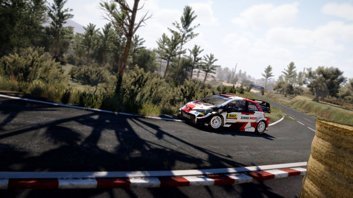 Gra PS4 WRC 10 (Blu-ray płyta) (3665962009484) - obraz 9