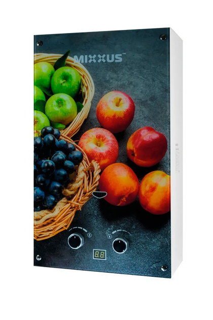 Газовый проточный водонагреватель MIXXUS GWH-0310 BASIC GLASS панель из стекла с рисунком колонка газовая дымоходная 10 л/мин (WH0024) - изображение 6