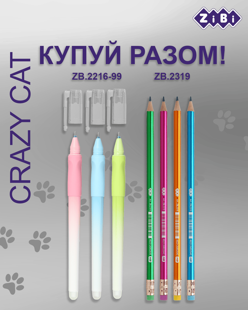 ASAページ Набір предметних зошитів ZiBi Crazy Cat 48 аркушів у