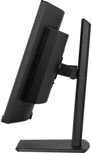 Monitor 34" iiyama ProLite XCB3494WQSU-B1 - obraz 6