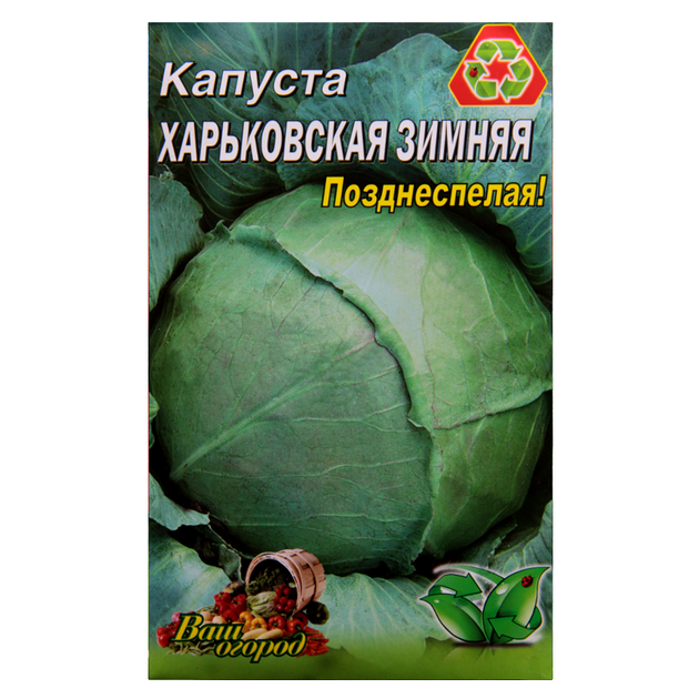 Насіння капуста Харківська пізня 5 г - Фото 1 Насіння капуста Харківська пізня 5 г - зображення 1