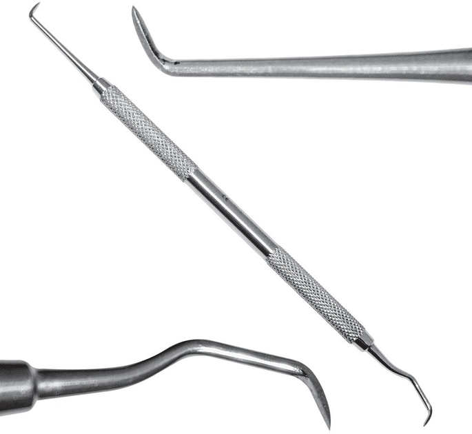 Скейлер двосторонній непарний Surgicon Goldman-Fox прямий/зігнутий SD-1036-01 (2000988947203) - зображення 1