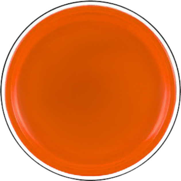 Dysk latający Frisbee LEAN Toys 20 cm 20373 Orange (5905991026624) - obraz 2