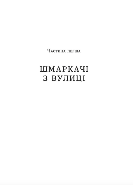 Загублений принц - Наталя Кош (9786178178796) - Фото 4 Загублений принц - Наталя Кош (9786178178796) - зображення 4