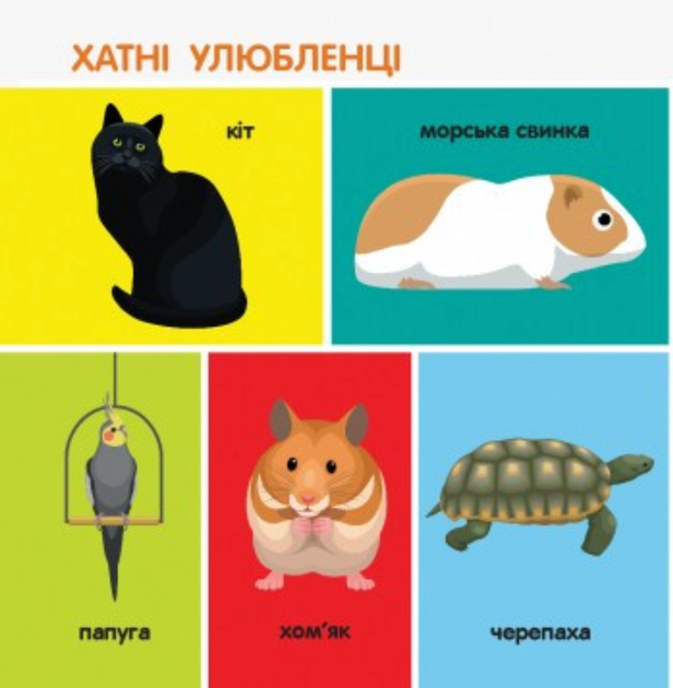Смарт-книги. 100 тварин - Катерина Трофимова (9786170952967) - Фото 4 Смарт-книги. 100 тварин - Катерина Трофимова (9786170952967) - изображение 4