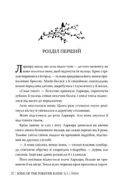 Мусаї. Пісня вічних дощів. Книга 1 - Е. Дж. Меллов (9786178373726) - изображение 6