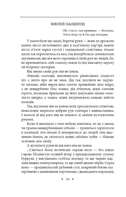 Криниця для спраглих. Кіно - Іван Драч (9789660376946) - зображення 5