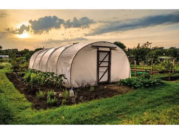 Плівка Growtex теплична 120 мкм Жовта - Фото 4 Плівка Growtex теплична 120 мкм Жовта - зображення 4