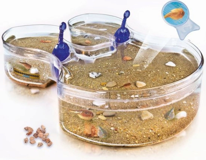 Експериментальний набір Clementoni Original Triops Maxi de Luxe 69883 (8005125592463) - зображення 1
