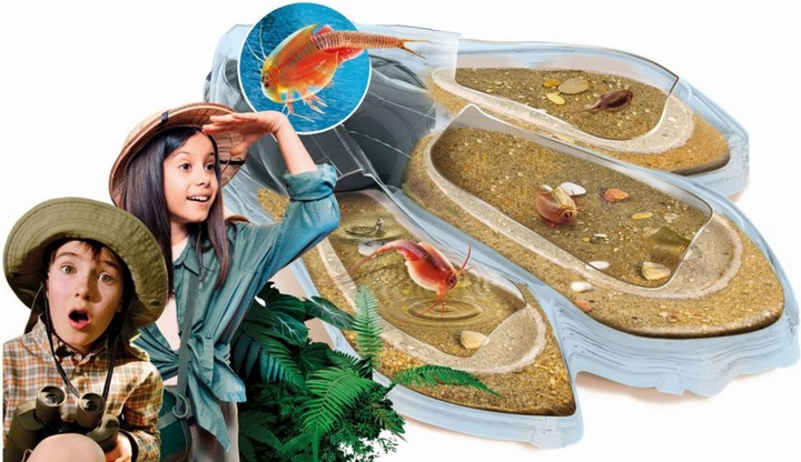 Zestaw eksperymentalny Clementoni Original Triops Maxi de Luxe 69883 (8005125592463) - obraz 3
