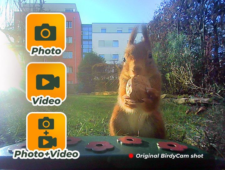 Aparat EasyPix BirdyCam Video/Photo Box and Feeding Station (4260041686533) - obraz 9