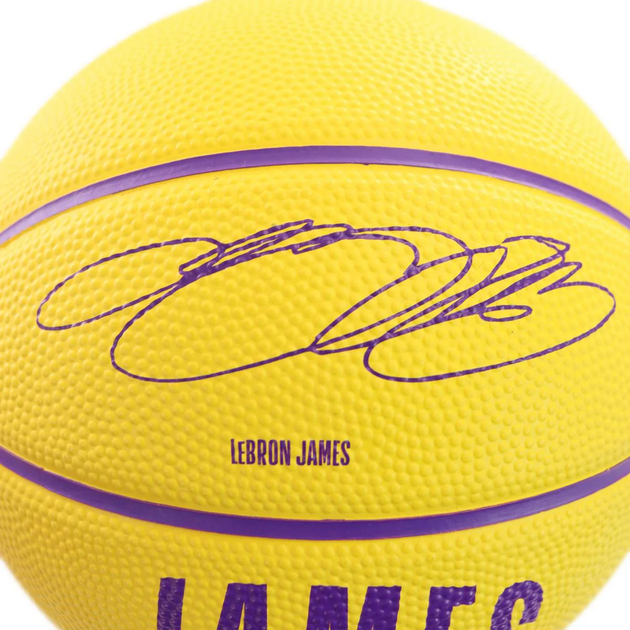 Баскетбольний Міні-М'яч Wilson NBA Player Icon Mini(WZ4007201XB3) 3 - изображение 4